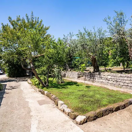 فيلة - Alice سورينتو