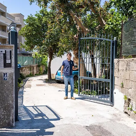 - Alice سورينتو