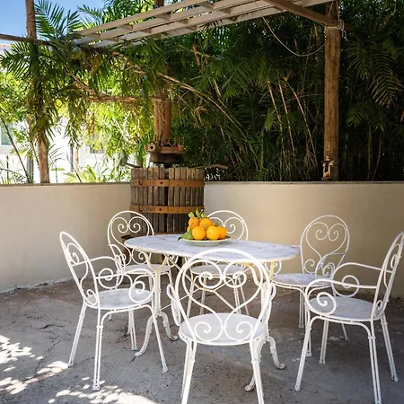 - Alice فيلة سورينتو